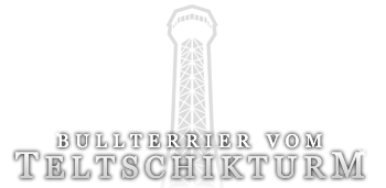 Bullterrier vom Teltschikturm | Welpen vom Züchter